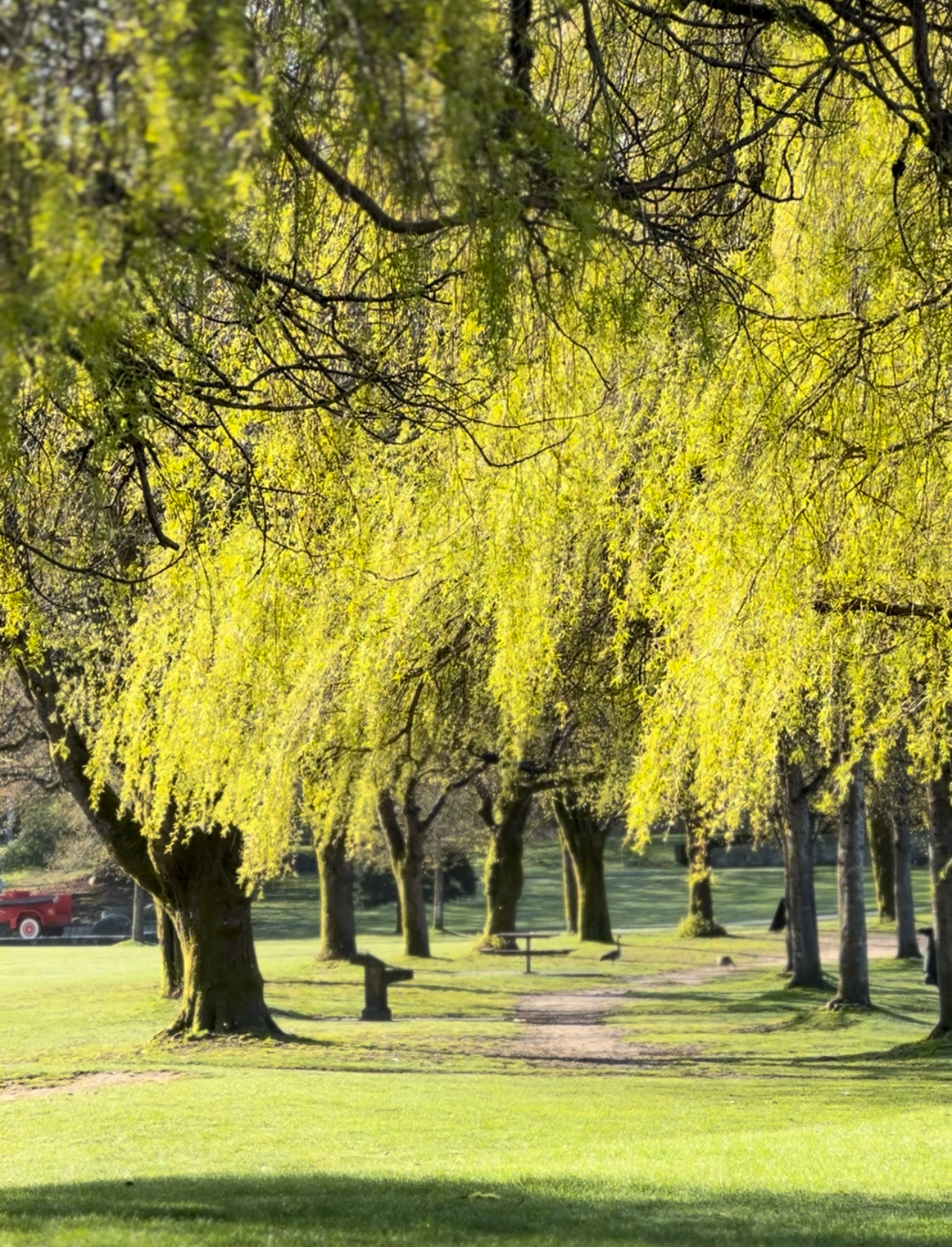 Is Now a Good Time to Buy a House? My Tips for Vancouver Buyers